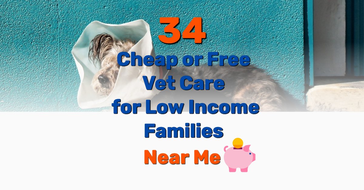 34 Cheap or Free Vet Care for Low Income Families (Near Me) - Frugal Living  - Personal Finance Blog