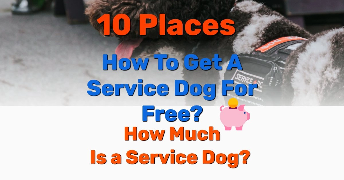 can you deny entry to a service dog