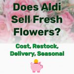 Does Aldi Sell Flowers - Frugal Reality